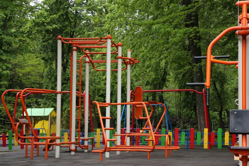 Jungle Gym Installation in Conroe, TX