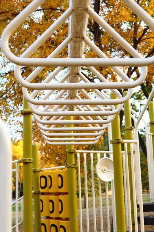 Jungle Gym Installation in Denver County, CO